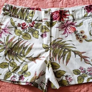 Women's dressy print shorts.